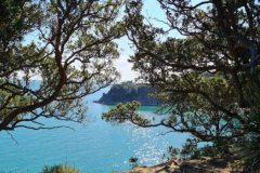 Responsible Hedonist - Drink Wine. Do Good. Be Good.