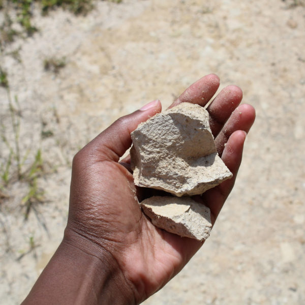 Diana's hand is open and holding two chunks of sandy limestone from the Chardonnay Vineyard