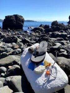 Trash collected at a black rock beach featuring la flip flop, cow tag, foam, tennis ball, and water bottle remains