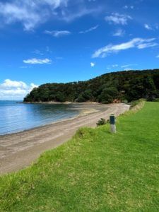 grass stops at beach shoreline with native bush in the distance and a trail marker