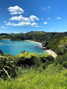 Lookout over Palm Beach on Waiheke Island shows ferns, clear blue water with rock formations below the surface, sandy beach, and holiday homes in the hillside